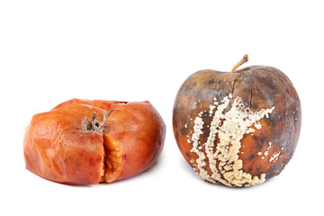 Fruits of apple with rot on white background