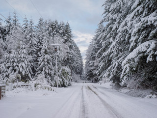 Rural Road After Snow