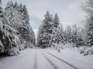 Rural Road After Snow