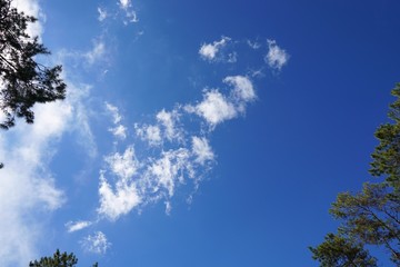 Beautiful nature of blue sky and clouds with the sun shining, sky background, cloudscape concept, Looking up