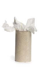 toilet paper roll on white background.