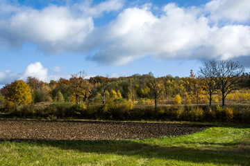 piękny jesienny krajobraz, pole i las