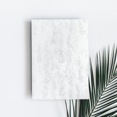 Summer composition. Tropical palm leaves, marble paper blank on pastel gray background. Summer concept. Flat lay, top view, copy space, square