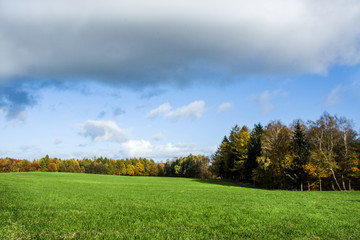 piękny jesienny krajobraz, pole i las
