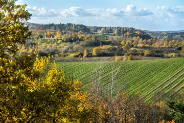 Fototapeta na wymiar piękny jesienny krajobraz, pole