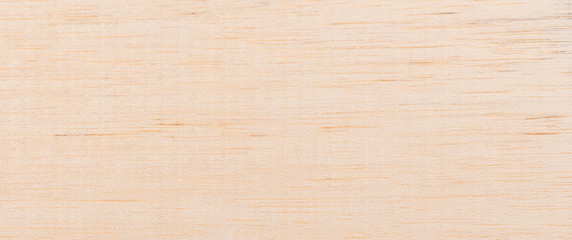 Naklejka premium Wood from the tropical rainforest - Suriname - Simarouba amara