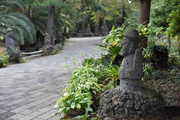 Fototapeta na wymiar Garden in South Korea, Jeju island