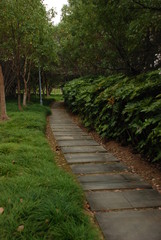 The pedestrian path in the park