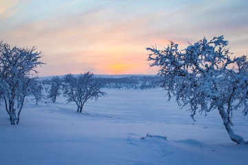 Winter in Finnmark