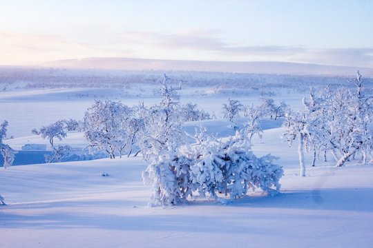 Winter in Finnmark, Norway
