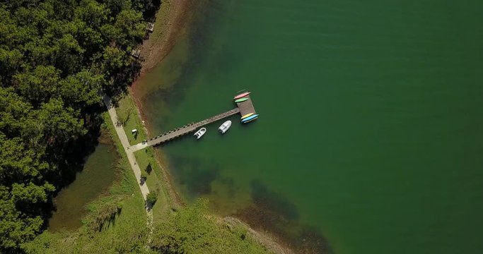 green pine forest in tuyen lam lake from aerial view