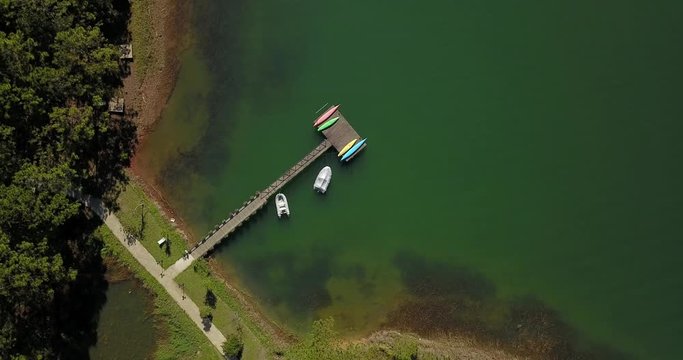 green pine forest in tuyen lam lake from aerial view