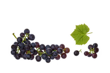 closeup of muscat noir grapes isolated on white background with copy space above