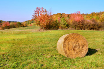 piękny jesienny krajobraz, siano na polu © VinyLove Foto