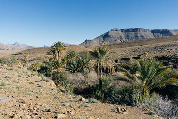 Morocco tourism: trekking man in mountains. Atlas mountains, Jebel Sakhro (Djebel Sahro), Ourzazate, Morocco. Oasis in the desert