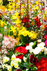  es ist FRÜHLING   palmkätzchen im blumengarten