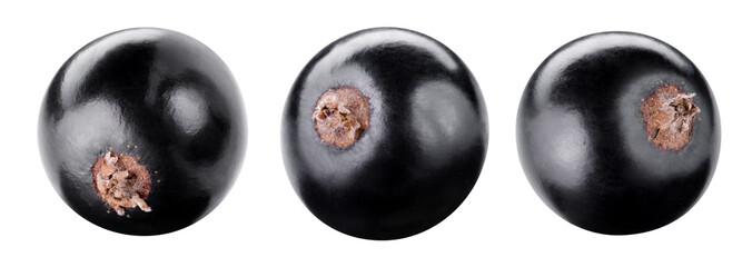 Black currants isolated Clipping Path