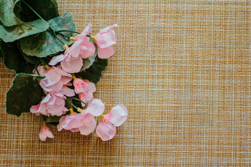 Beautiful background with flowers