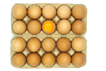 20 Eggs in an egg carton with one broken egg                   