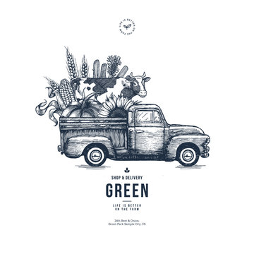 Farm fresh delivery design template. Classic vintage pickup truck with organic vegetables and a cow. Vector illustration
