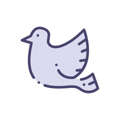 bird icon