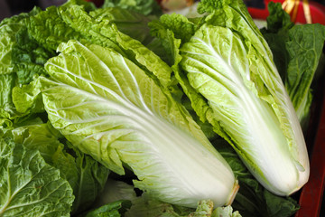 fresh chinese cabbage on wooden table