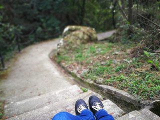 Stairs in the garden on a sunny day
