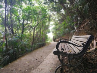 Bench in the park, summer time