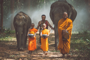 Thai monks walking in the jungle with elephants - obrazy, fototapety, plakaty