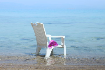  flowers on a chair by the sea