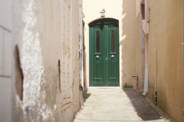 Fototapeta na wymiar doors at the end of the alley