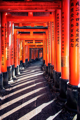 Fushimi Inari Taisha shrine in Kyoto