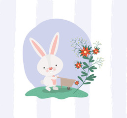 rabbit and wheelbarrow with flowers in the garden