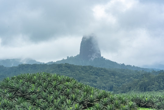 Sao Tome, pico Cao Grande, beautiful sharp mountain in the clouds, with palms plantation
