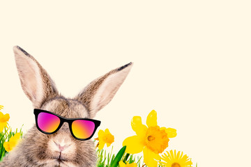 Hase mit Brille Comic Portrait Cool Lustig 