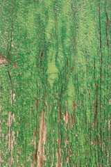 Grunge old wood textured background