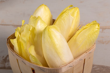 delicious chicory endives from France or Belgium in small wooden basket