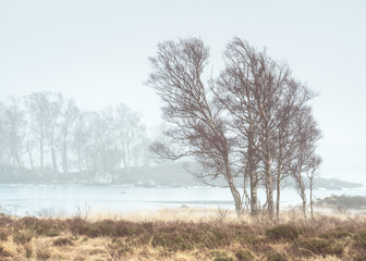 Loch Ba, Rannoch moor Scotland