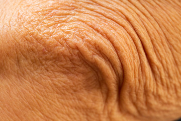Senior woman's wrinkled elbow, Close up & Macro shot, Selective focus, Asian body skin concept, Abstract background