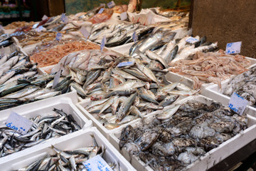 Fresh fish counter at the street market in the centre of Bologna.