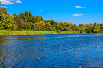 Obraz premium Summer landscape with beautiful river, green trees and blue sky
