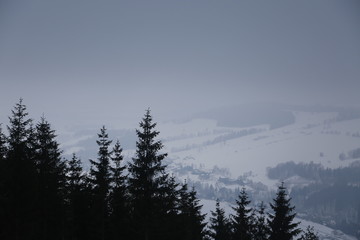 Winter, snowy, mountain landscape. Sudety Mountains