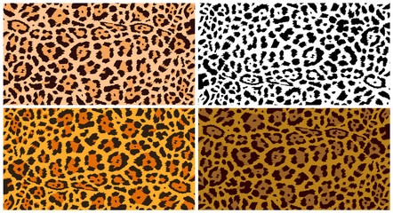 Leopard pattern design. Set of funny drawing pattern. Lettering poster or t-shirt textile graphic design. Wallpaper, wrapping paper. Vector illustration. Isolated on white background.