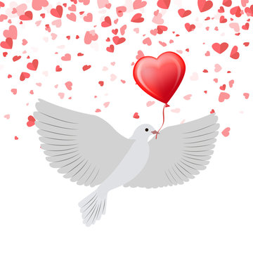 Dove with balloon in beak isolated on background with hearts. Vector pigeon symbol of peace, Valentines day illustration with holiday bird greeting