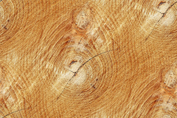 Cross section of trunk as a seamless wooden background