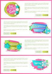 Springtime offer proposition seasonal sale, floral tag, flowers on web poster with text sample. Best spring discount 30 percent off price banner vector