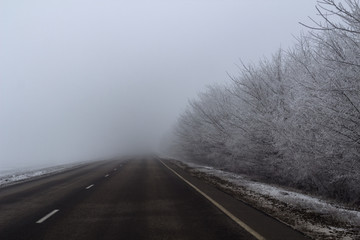 Winter road through the forest. foggy landscape