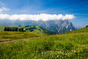 Fototapeta premium Dolomites, Alpe di siusi, South Tyrol