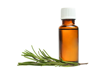 green rosemary branch and bottle of aroma oil