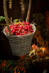 Ripe red berries in wicker basket